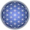 Denise Antonelli Flower Of Life